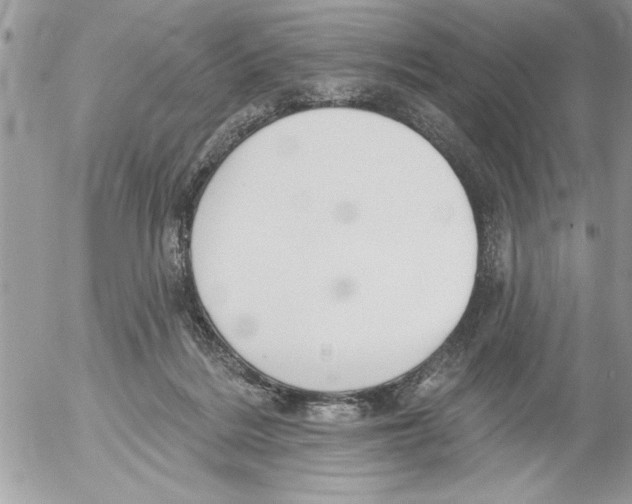 X0000052540220200507291858