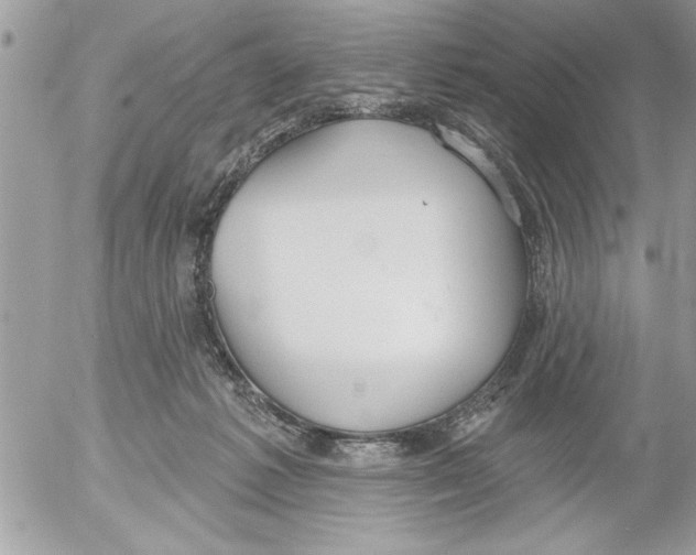 X0000052540221200507291858