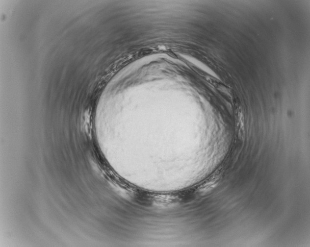 X0000052540222200507291858