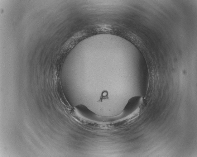 X0000052540223200507291858