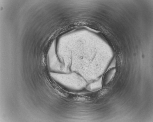 X0000052540224200507291858