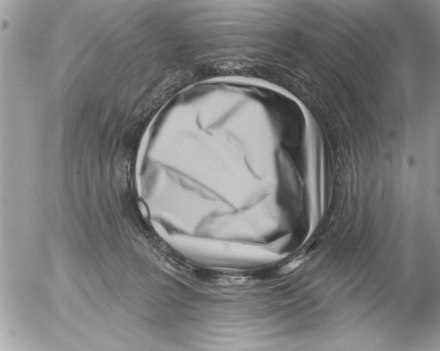 X0000052540227200507291858