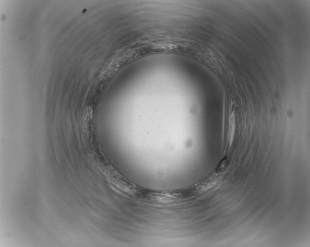 X0000052540229200507291858