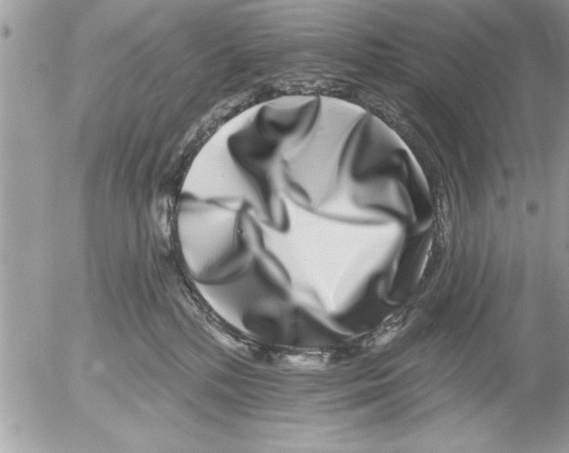 X0000052540232200507291858