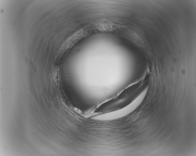 X0000052540233200507291858