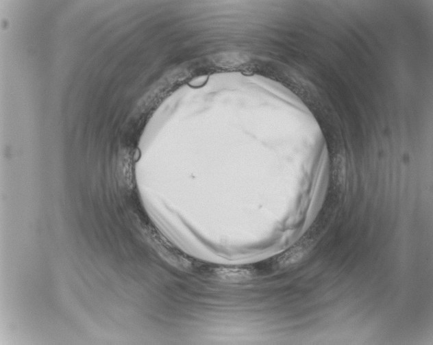 X0000052540234200507291858