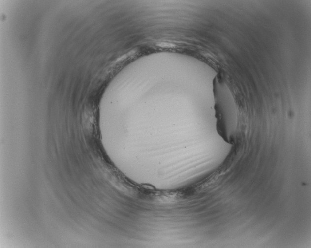 X0000052540235200507291858