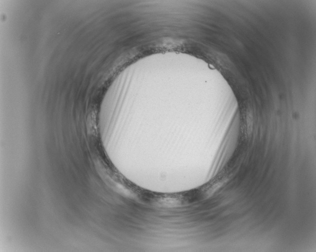 X0000052540236200507291858