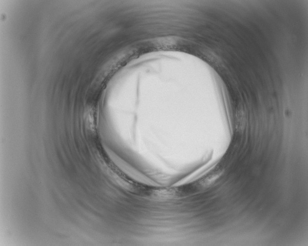 X0000052540238200507291858