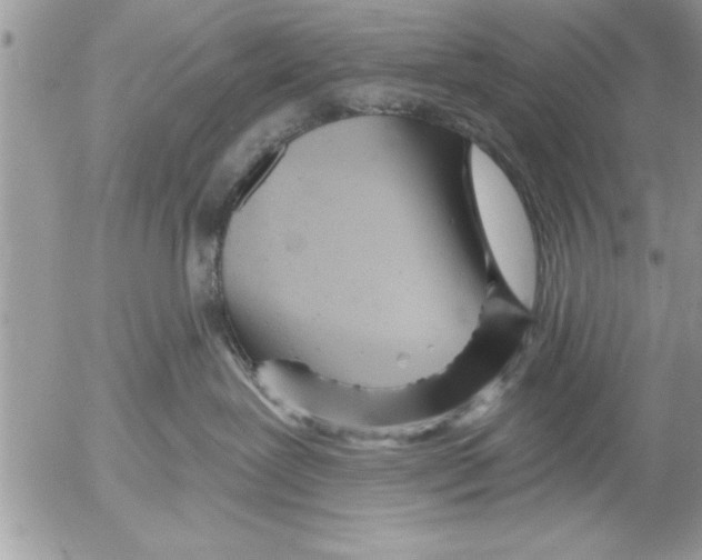 X0000052540239200507291858