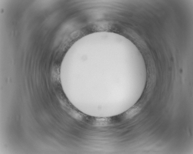 X0000052540240200507291858