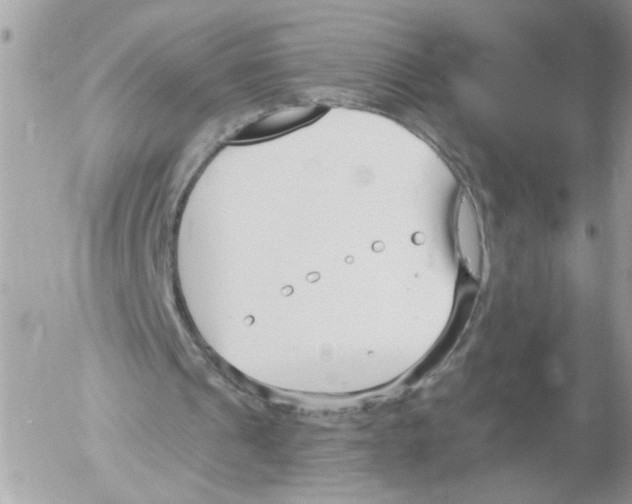 X0000052540241200507291857