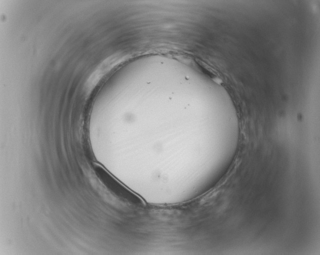 X0000052540242200507291857