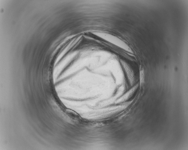 X0000052540243200507291857