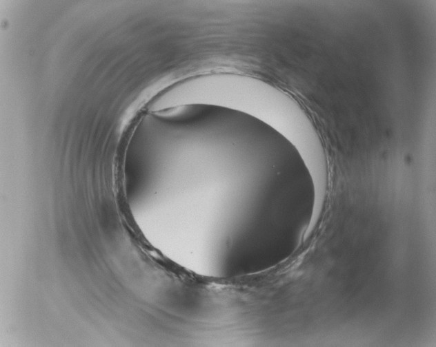 X0000052540244200507291857