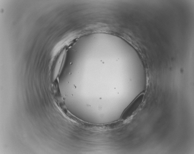 X0000052540245200507291857