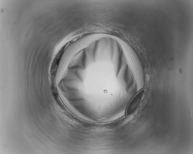 X0000052540246200507291857