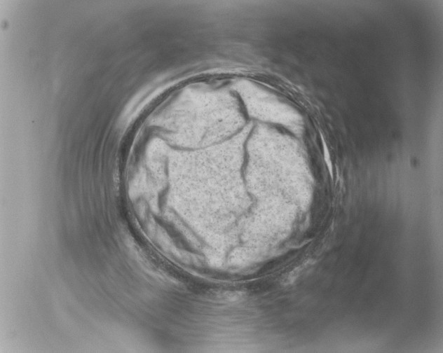 X0000052540247200507291857