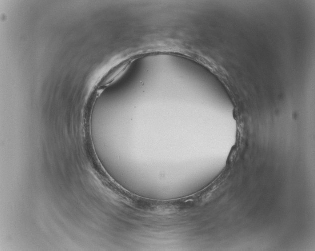 X0000052540248200507291857