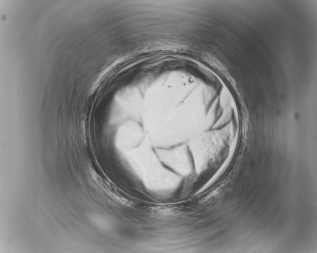 X0000052540249200507291857