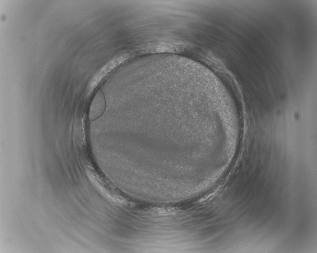 X0000052540250200507291857