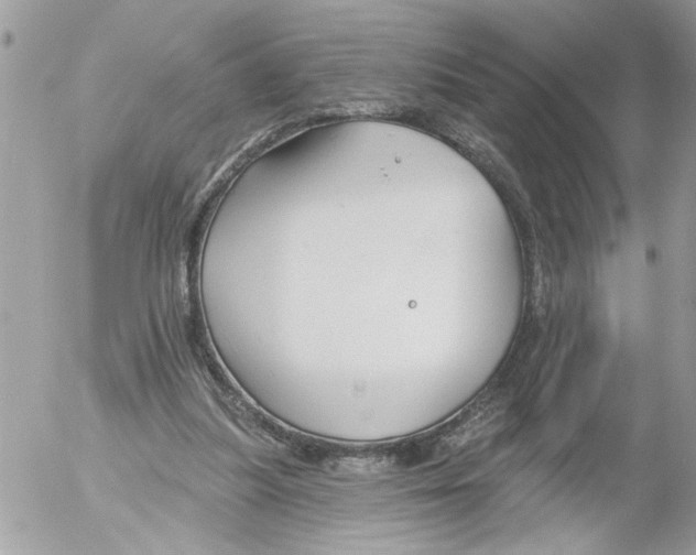 X0000052540251200507291857