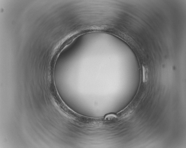 X0000052540252200507291857