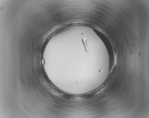 X0000052540253200507291857