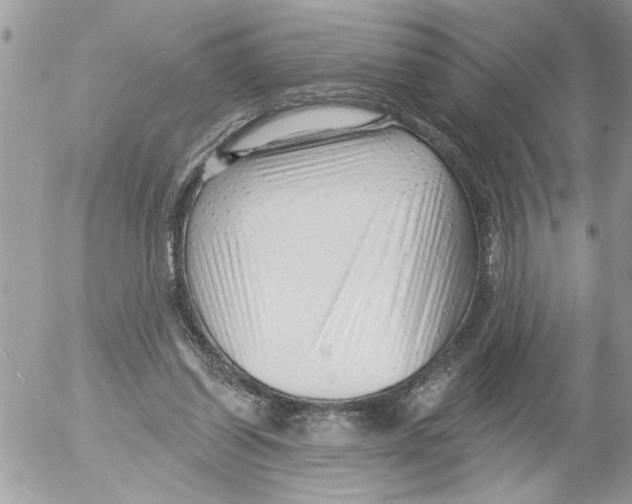 X0000052540254200507291857