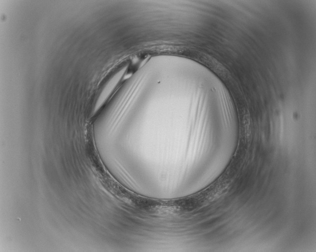 X0000052540255200507291857