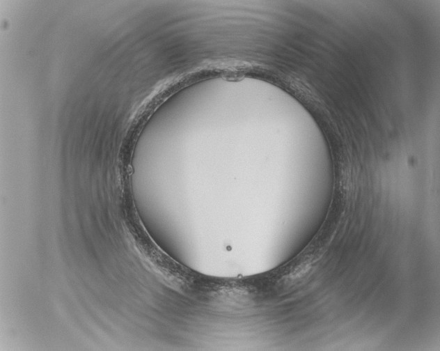 X0000052540256200507291858