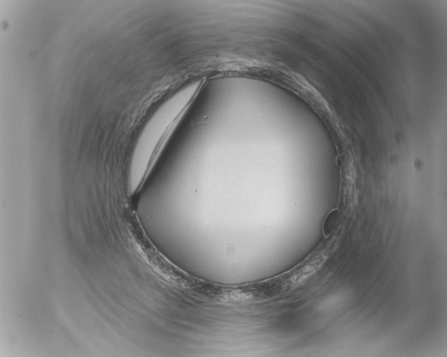 X0000052540257200507291858