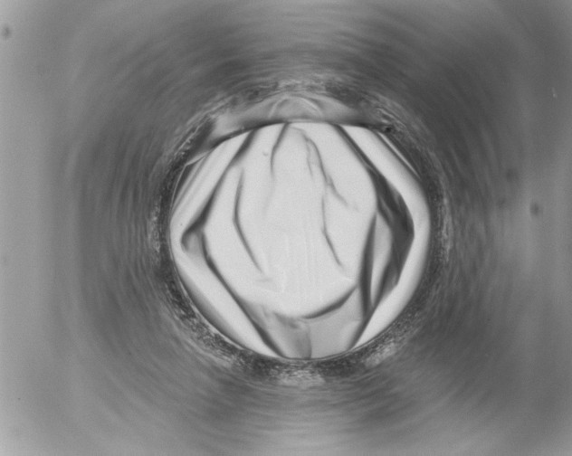 X0000052540258200507291858