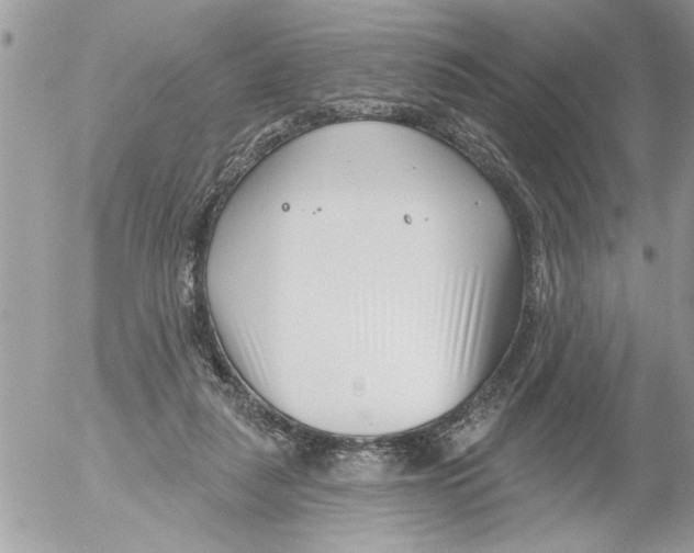 X0000052540259200507291858