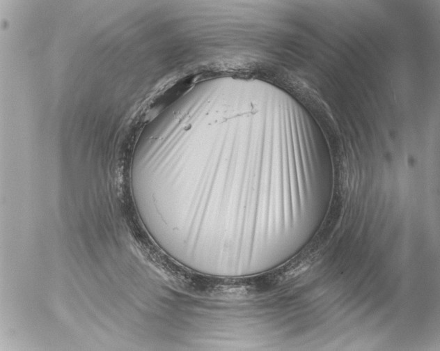 X0000052540260200507291858