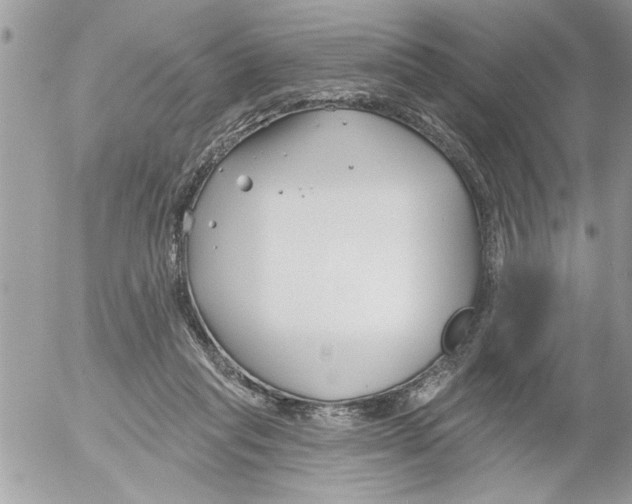 X0000052540261200507291858