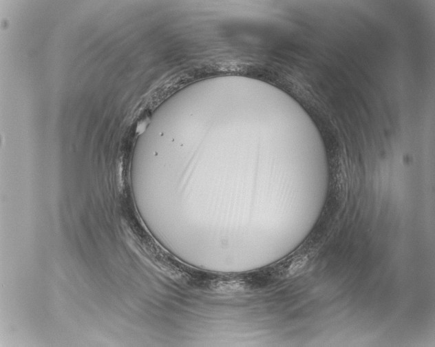 X0000052540262200507291858