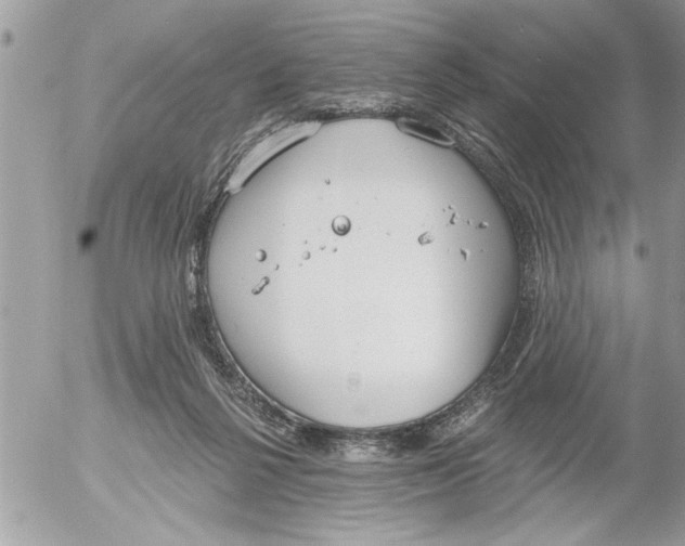 X0000052540264200507291858