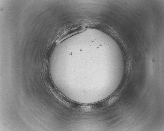 X0000052540265200507291858