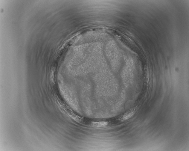 X0000052540266200507291858