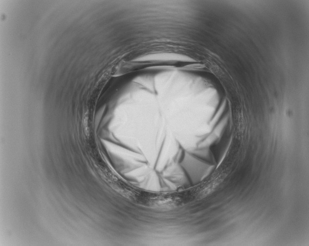 X0000052540267200507291858