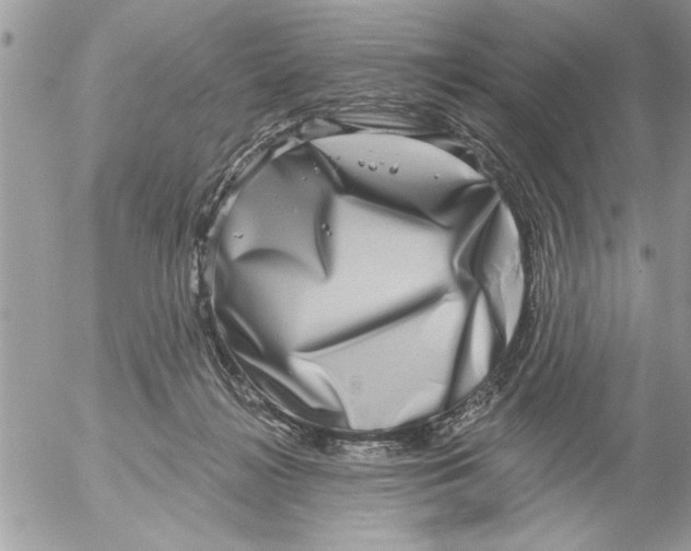 X0000052540268200507291858