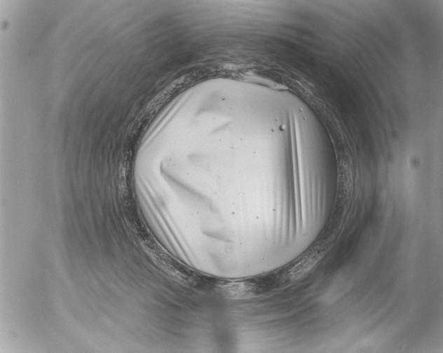 X0000052540269200507291858