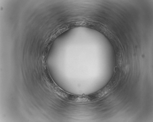 X0000052540270200507291858