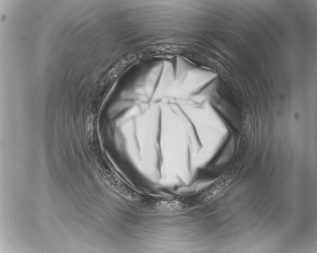 X0000052540271200507291858