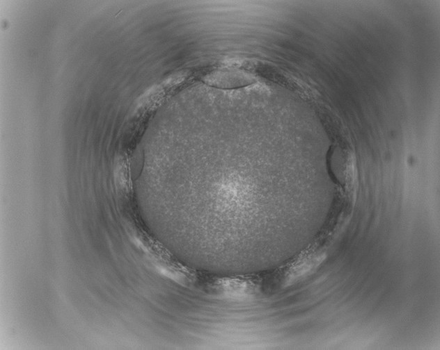 X0000052540272200507291858