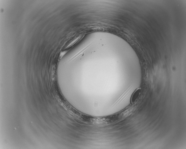 X0000052540273200507291858