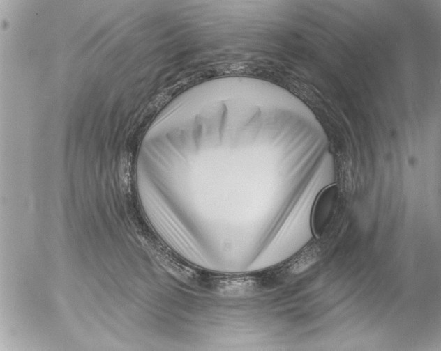 X0000052540274200507291858