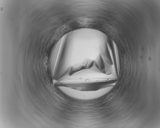 X0000052540275200507291858