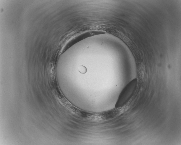 X0000052540276200507291858